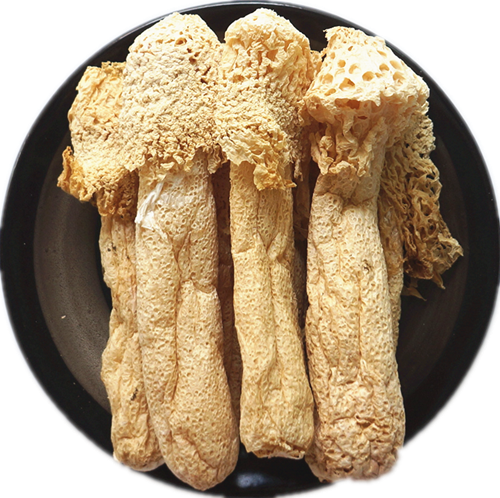 Wild Bamboo Fungus (Zhu Shun 野生竹荪)