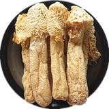 Wild Bamboo Fungus (Zhu Shun 野生竹荪)