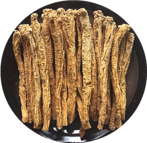 Codonopsis Root (Dang Shen)