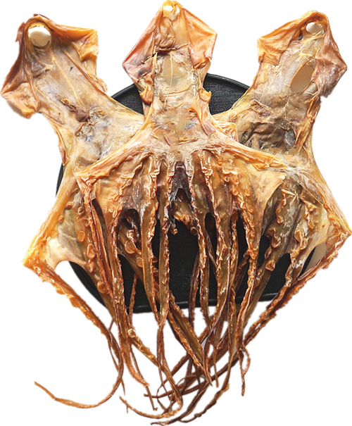 Dried Octopus