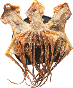 Dried Octopus